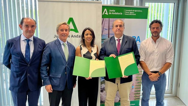 El IFAPA y ASEMESA acuerdan colaborar para impulsar la investigación, la innovación y la formación en el sector de la aceituna de mesa. | JUNTA DE ANDALUCÍA ep el ifapa y asemesa acuerdan colaborar para impulsar la investigacion la innovacion y la formacion