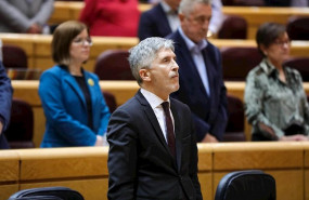 ep el ministro de interior fernando grande-marlaska durante la primera sesion de control al gobierno
