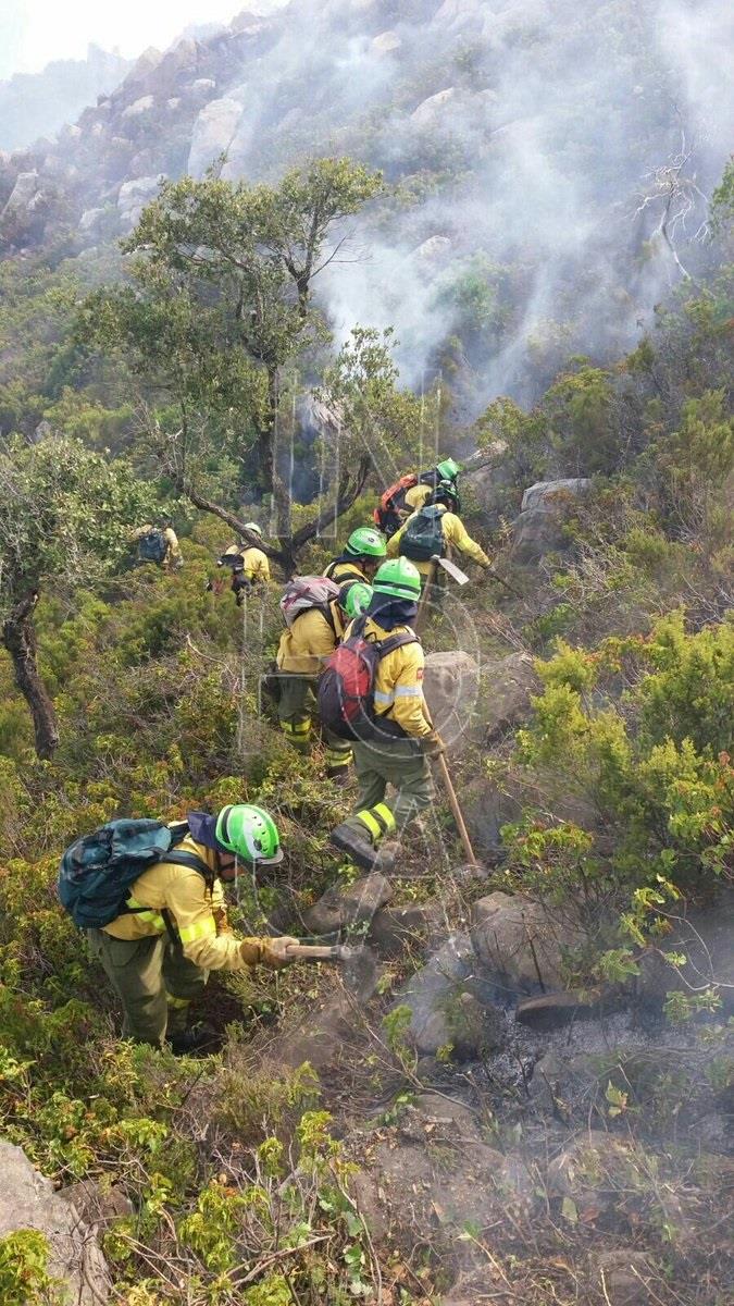 Imagen del incendio de Tarifa | INFOCA ep imagenincendiotarifa