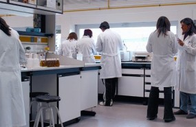 ep investigadores cientificos