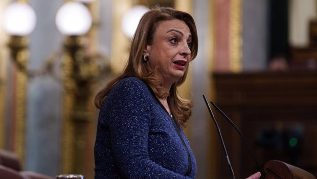 ep la portavoz de coalicion canaria en el congreso cristina valido interviene durante una sesion de ep la portavoz de coalicion canaria en el congreso cristina valido interviene durante una sesion de