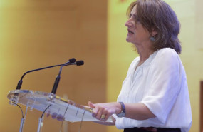 ep la vicepresidenta del gobierno y ministra para la transicion ecologica y el reto demografico 20221111114703