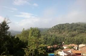 ep niebla
