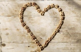 ep nueces corazon