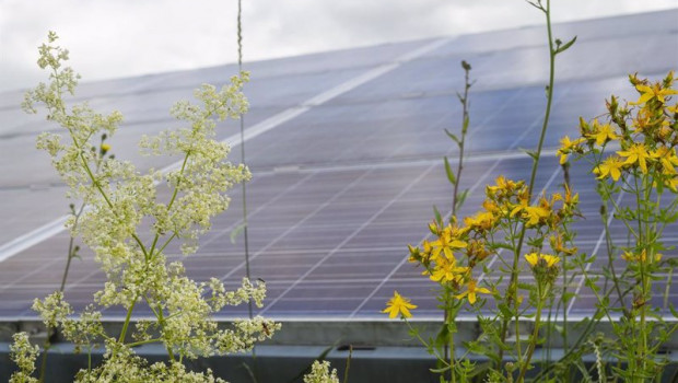 ep proyecto solar de baywa re