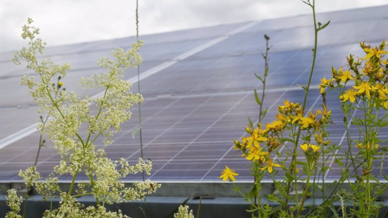ep proyecto solar de baywa re
