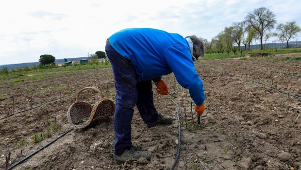 ep un agricultor en un campo de aranjuez del instituto madrileno de investigacion y desarrollo rural