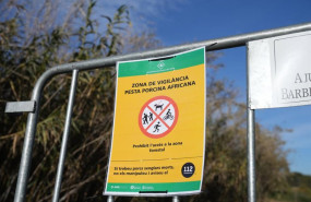 ep vallas para cortar el paso en las zonas restringidas por la peste porcina africana