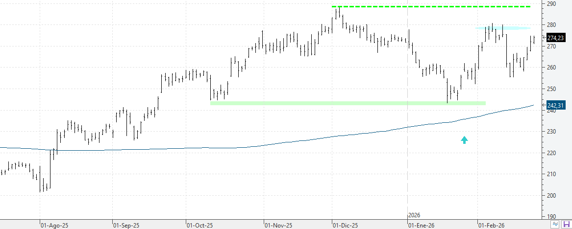 z260226apple z260226apple