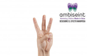 1603189538 ambiseint