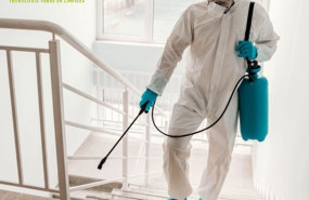 1609236198 desinfeccion 1609236198 desinfeccion