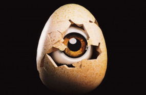 1653558177 aaa 1653558177 aaa