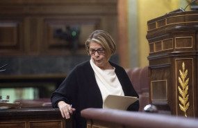 ep archivo   la diputada de mas pais ines sabanes en una sesion plenaria en el congreso de los