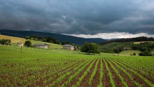ep archivo   las fincas rusticas resisten mejor que la vivienda en el arranque de 2026 segun cocampo