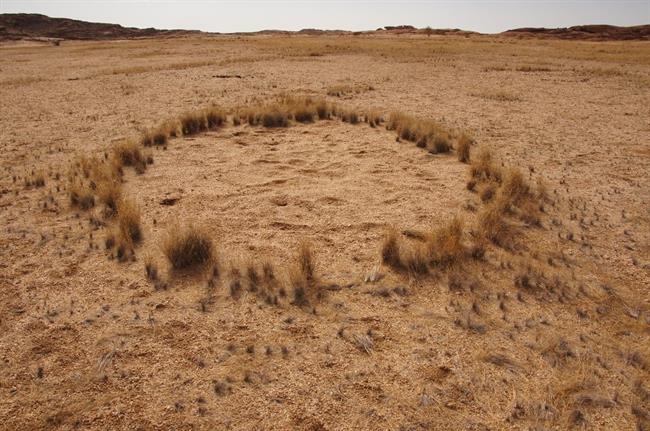 ep circulohadasnamibia