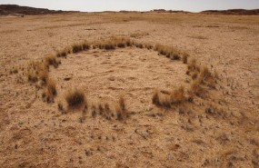 ep circulohadasnamibia