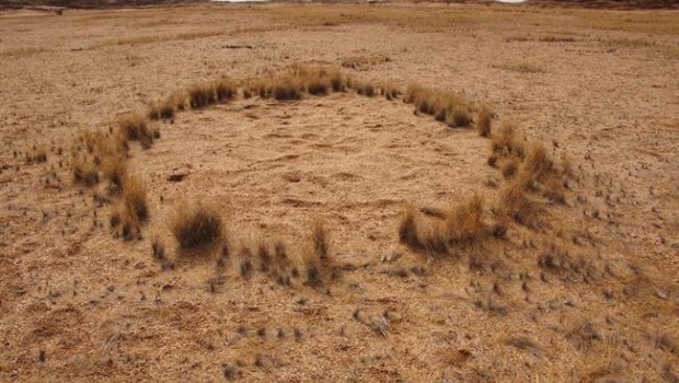 ep circulohadasnamibia