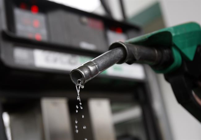 combustible | EP - Archivo ep combustible