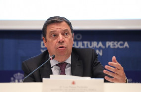 ep el ministro de agricultura pesca y alimentacion en funciones luis planas