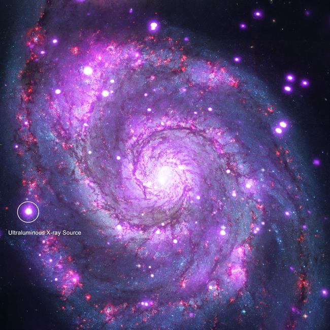 Imagen de la galaxia Whirlpool y de un ULX | NASA/CXC/CALTECH/M.BRIGHTMAN ET AL.; OPTICAL: NASA ep imagenla galaxia whirlpooldeulx