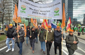 ep manifestacion de upa en bruselas