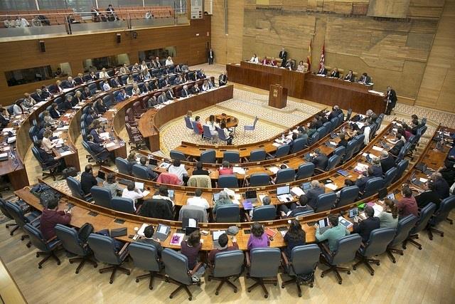 ep pleno asambleamadrid 2017