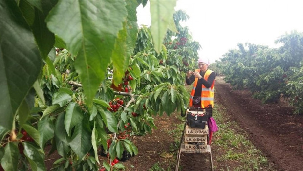 ep temporerossector agricola