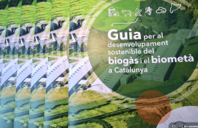 microsoftteams image 1 1024x622