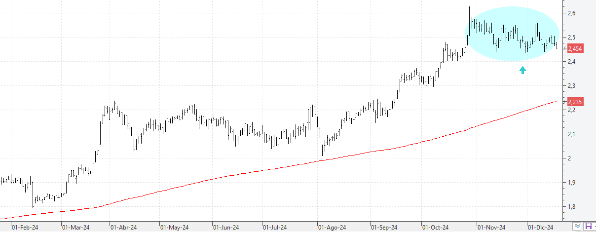 q181224mapfre