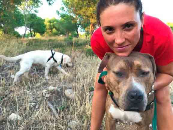 1603281325 elperrofeliz