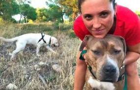 1603281325 elperrofeliz