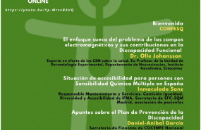 1640010608 discapacidad ambiental con link 20211222083727 