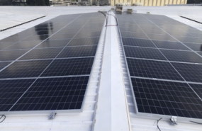 captura de pantalla 2024 08 26 a les 110854 captura de pantalla 2024 08 26 a les 110854