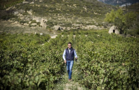 ep archivo   el gerente de bodegas izadi lalo anton en los vinedos de izadi