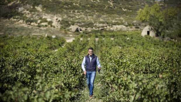 ep archivo   el gerente de bodegas izadi lalo anton en los vinedos de izadi