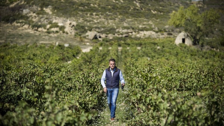 Archivo - El gerente de Bodegas Izadi, Lalo Antón, en los viñedos de Izadi | BODEGAS IZADI - Archivo ep archivo el gerente de bodegas izadi lalo anton en los vinedos de izadi