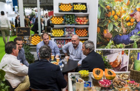 ep archivo   ifema  los premios conecta 2020 reconoceran la gran distribucion durante la pandemia