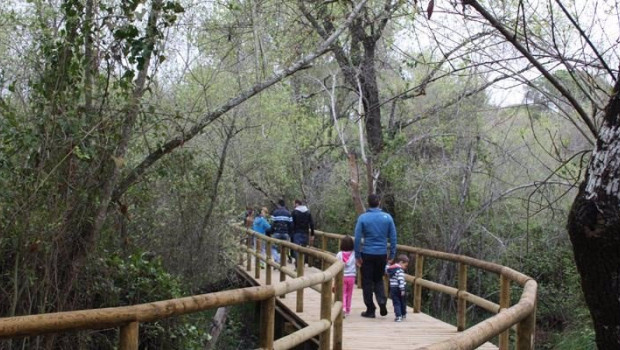 ep archivo   sendero en donana