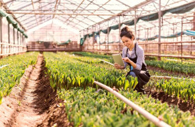 ep archivo   young woman using a digital tablet in a greenhouse with copy space