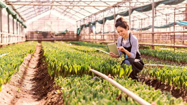 ep archivo   young woman using a digital tablet in a greenhouse with copy space