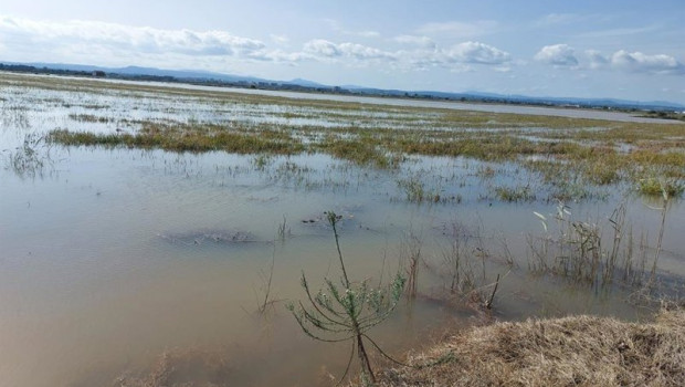 ep ava asaja estima que la dana alice ya causa dos millones de perdidas en el arroz
