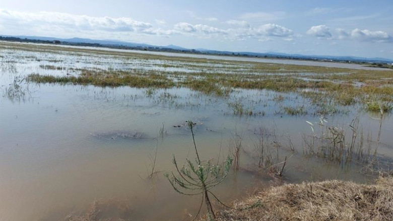 ep ava asaja estima que la dana alice ya causa dos millones de perdidas en el arroz ep ava asaja estima que la dana alice ya causa dos millones de perdidas en el arroz
