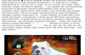 ep capturapantallauna conocida webanuncios