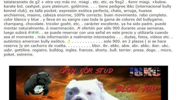 ep capturapantallauna conocida webanuncios