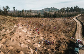 ep cerca de 100000 voluntarios participaran en una campana de reforestacion en cinco comunidades