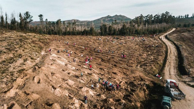 ep cerca de 100000 voluntarios participaran en una campana de reforestacion en cinco comunidades