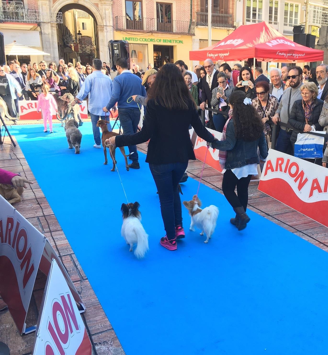 Desfile de perros mi mascota salon fycma palacio de ferias | EUROPA PRESS/FYCMA - Archivo ep desfileperrosmascota salon fycma palacioferias