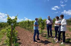 ep el ministerio de ciencia cofinancia el proyecto de vinos vintae para elaborar espumosos en la