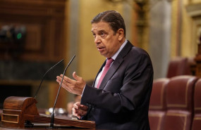 ep el ministro de agricultura luis planas interviene durante una sesion plenaria en el congreso de