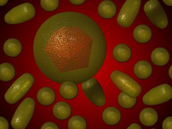 Hepatitis C | EUROPA PRESS ep hepatitis c